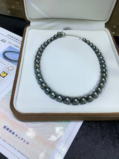 Wholesale Tahitian Pearls