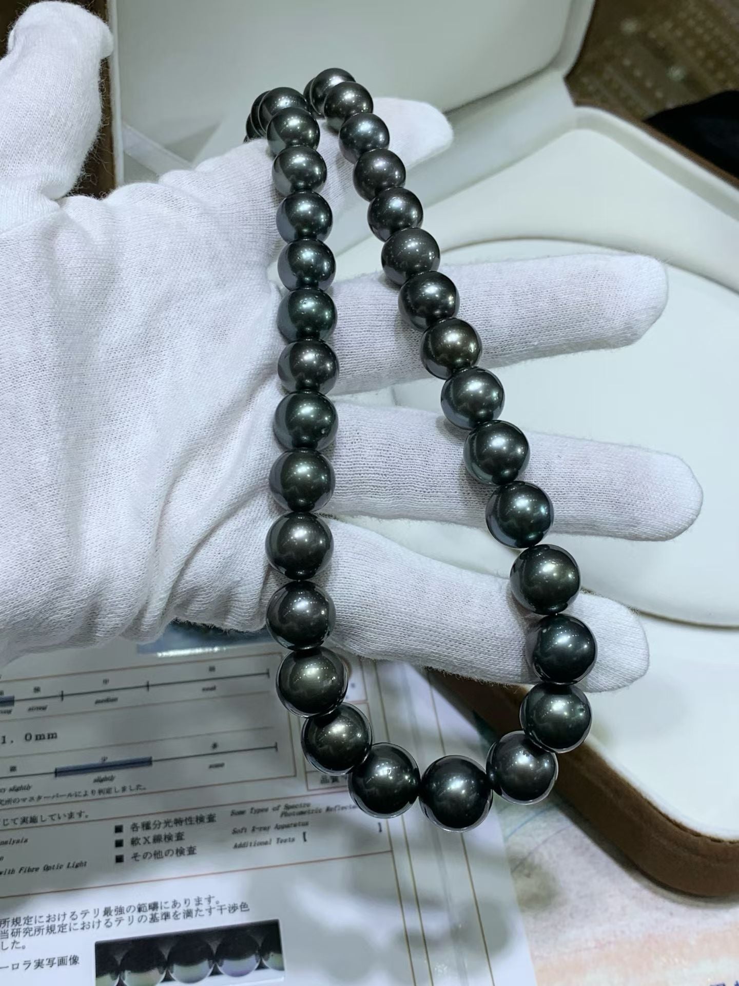 Wholesale Tahitian Pearls